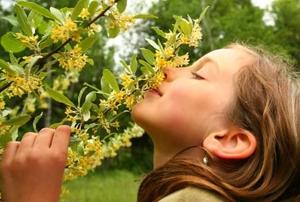 A young girl stops to smell the honeysuckle.
