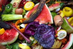 bright colored compost