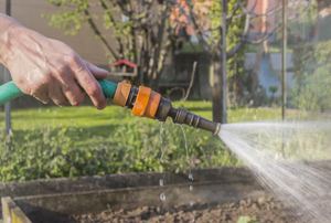 A garden hose with a spray.