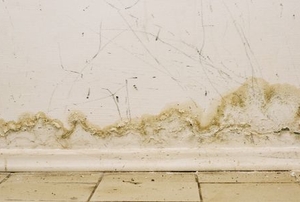 moisture damage low on wall near tile