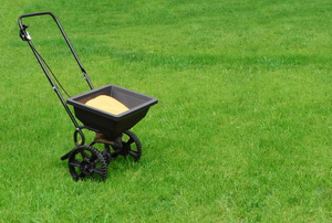 Seed spreader full and sitting on a lawn