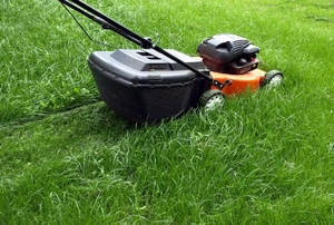 A red, self-propelled lawn mower with a bag attachment being used to trim the yard.