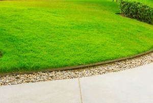 the curving edge of a well manicured lawn
