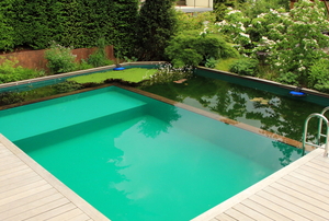 natural pool with deck and plants