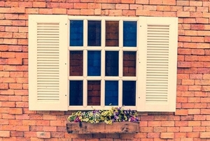 window