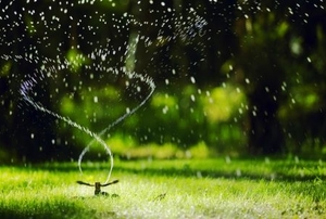 a spinning sprinkler watering a green lawn