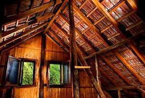 Looking out of open windows in the attic of an old wooden home.