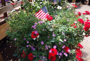 Independence Day themed flower display