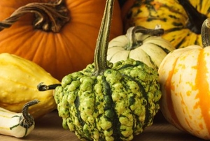 variety of pumpkins in different colors
