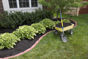 A front yard with a brick-edged planter. 