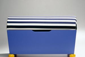 A storage bench.