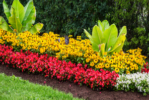 A flower bed.