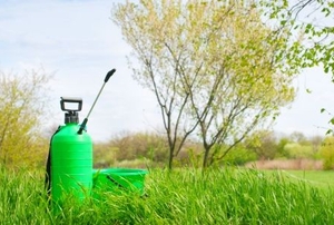 Handheld garden sprayer in the grass.