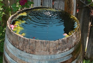 wine barrel pond with water dripping in