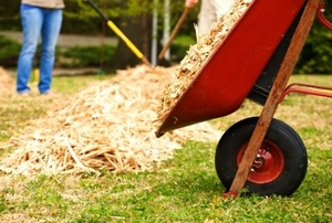 Wheelbarrow dumping some wood chips.