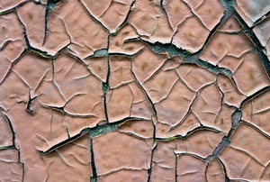 Oil-based paint peeling and chipping off of a surface.