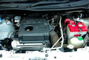 The parts under the hood of a car.