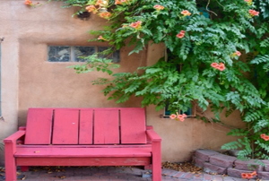 A red bench on a patio in the southwest surrounded by a green vine and a potted herbs.