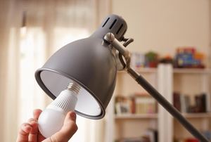 A lamp and a lightbulb.