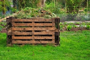 Wooden pallet compost bin for organic waste in a garden.