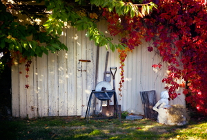 Some yard tools against a white fence with leaves. 