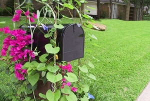 A mailbox with a trellis of morning-glories.