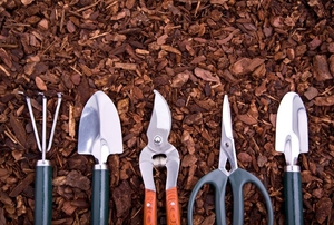 Handheld gardening tools