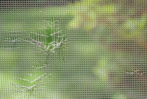 A close-up of a window screen with holes in it.