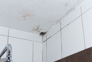 mold in corner of bathroom ceiling above tile
