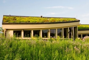 A modern house with a green roof.