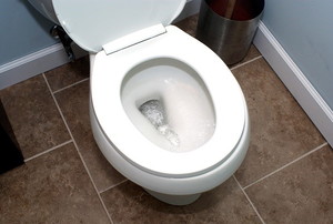 A toilet in a private bathroom flushing.