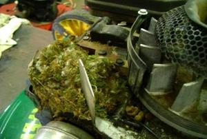 A lawnmower with a mouse nest built around the motor.
