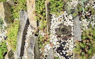 How to Design a Rock Garden | DoItYourself.com