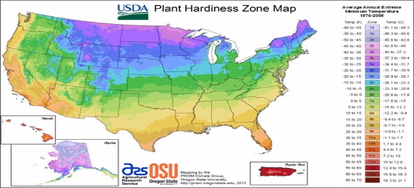 3 Things to Know About a Plant Hardiness Zone | DoItYourself.com