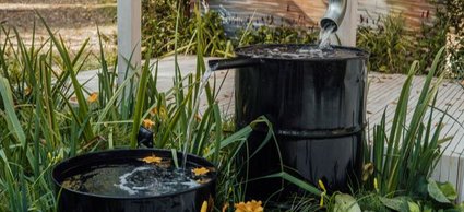 9 Rain Garden Ideas | DoItYourself.com