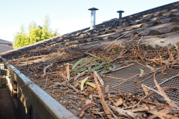 A messy roof with branches and leaves on top. 