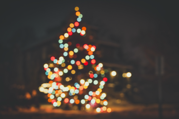 A soft-focus Christmas tree with lights. 