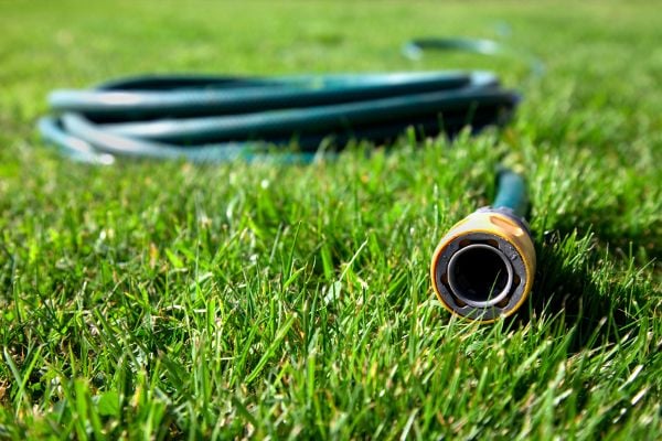 A garden hose is necessary for keeping your grass (and all of your plants) healt