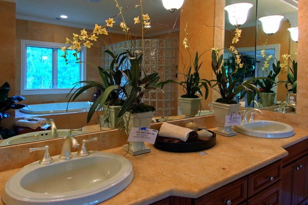 Create a Tropical Themed Bathroom With Plants That Love Humidity