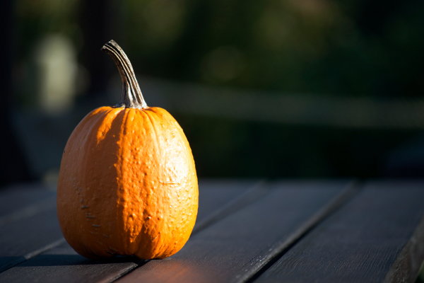 A single baking pumpkin on a wood table. 