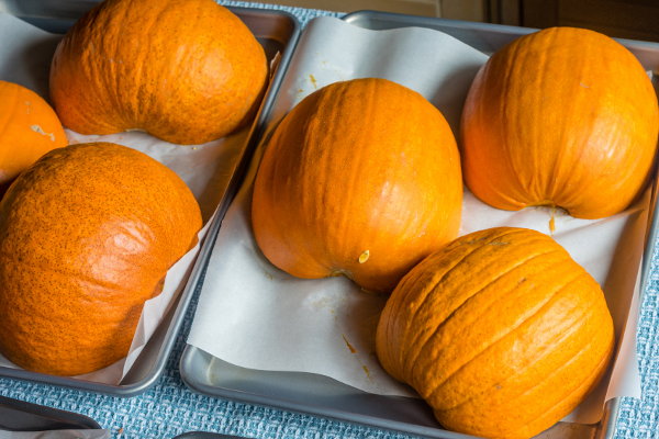 Pumpkins sliced in half sitting on baking sheets. 