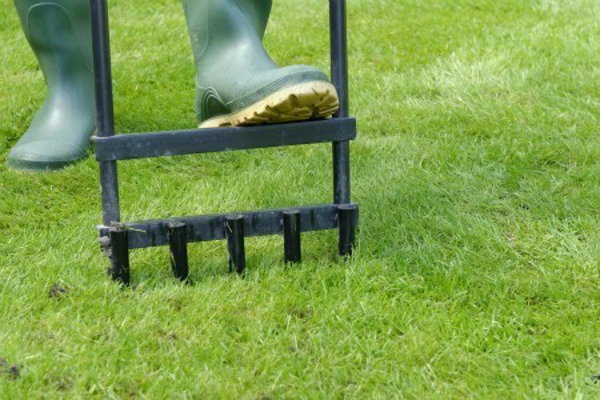 An aeration tool being used on a lawn. 