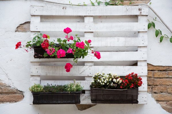 A pallet with flowers planted in it. 