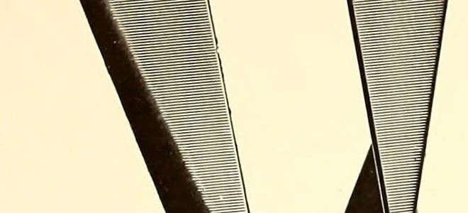 Lead Image