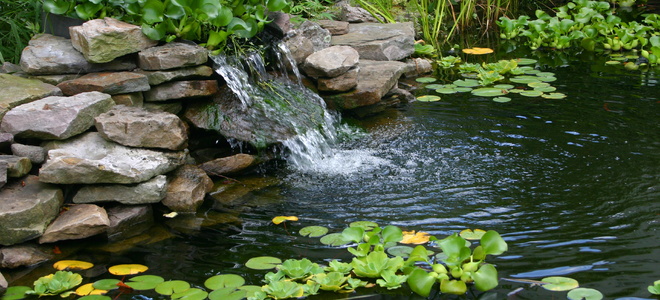 How to Build a Backyard Pond and Waterfall | DoItYourself.com