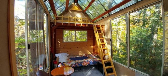 A treehouse with transparent walls and ceiling