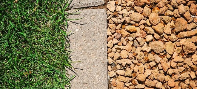 Lead Image