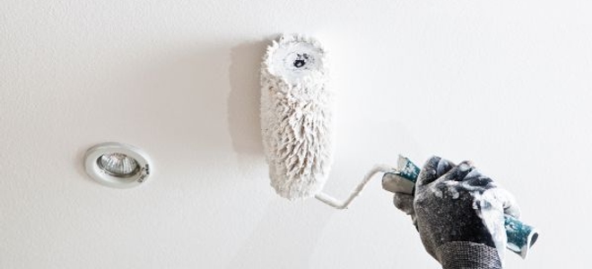 3 Best Paints For A Shower Ceiling Doityourself Com