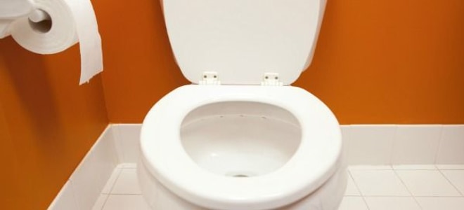 What to Look for When Buying a Toilet Ring | DoItYourself.com