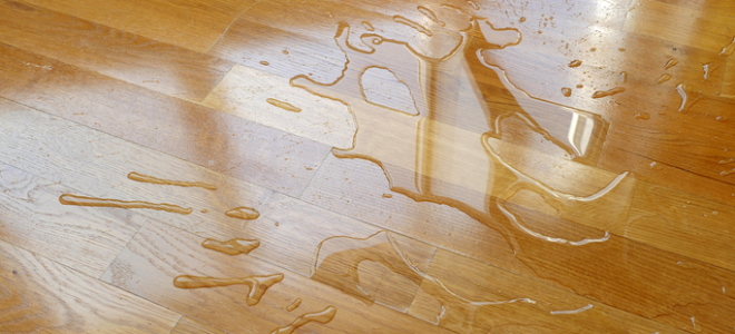 water spilled on wood floor 189401